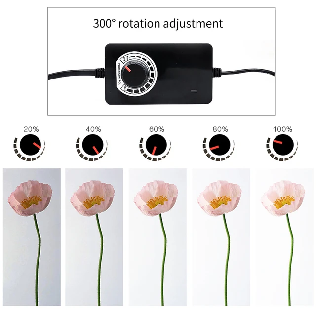 Scatola Luminosa 100x100cm Per Foto - LED Dimmabile Con 3 Sfondi (Bianco, Nero, Blu) - Foto 5