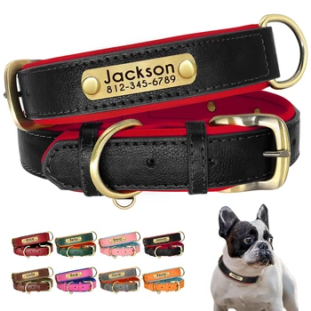 Personalized Leather Dog Collar 1