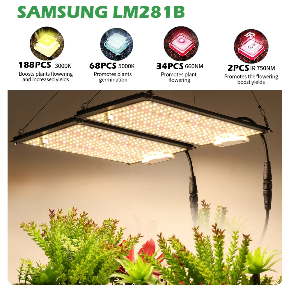 Samsung Dioden LED Wachsen Licht LM281B Dimmbare Quantum Phyto Lampe Sunlike Volle Spektrum Wachsenden Lampen für Innen Anlage Gewächshaus