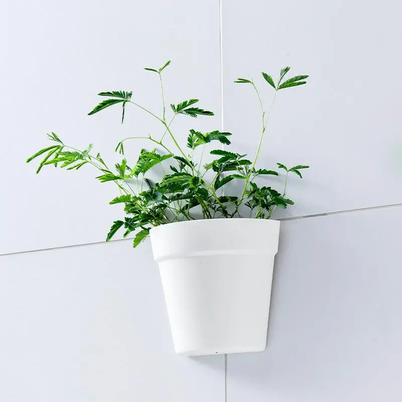 Wall Mounted Plastic Potted Plant Flowerpot Creative Wall Hanging Planter Semi Circular Small Flower Pot Decoration