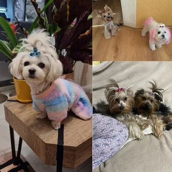 Cute Pet Hair Clips Set 3