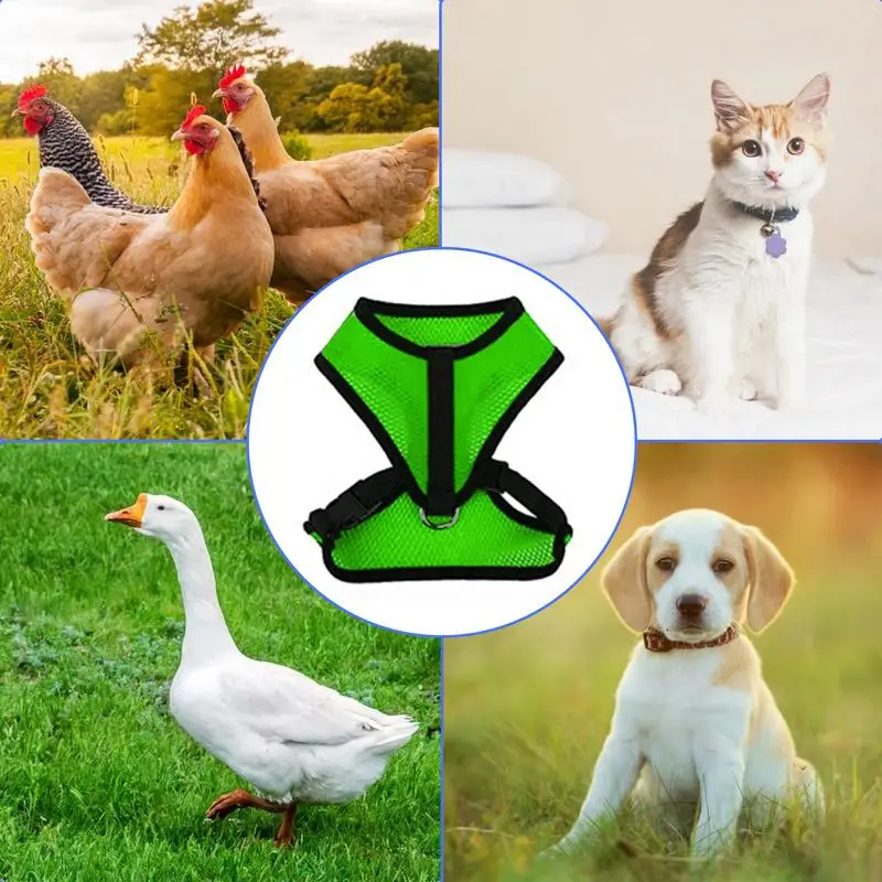 淮  ġŲ ϳ׽, ´  , ź̰  ⼺ ġŲ    
