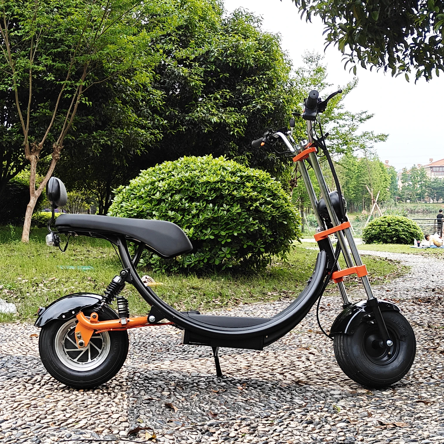Citycoco Adult Electric Scooter 1500W Max Speed 45km/h Double seat