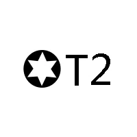 T2