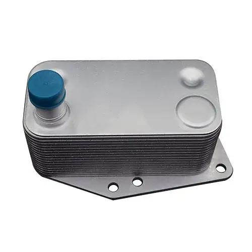 Radiatore Olio Motore Assy Per Bmw E46 320D M47D20 204D4 E90 3 Serie 2007 5989070102 11427787698 056044N