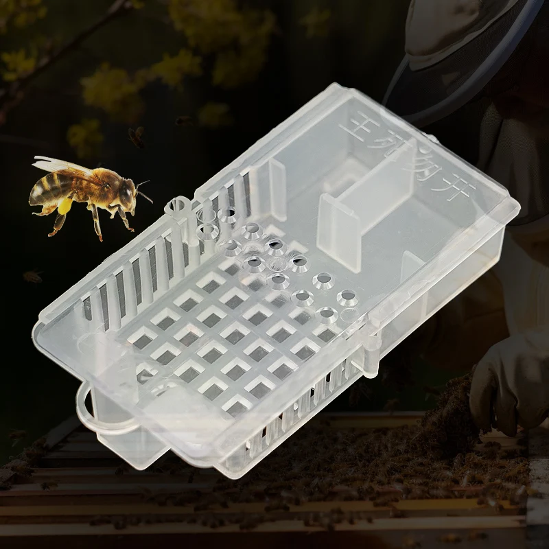 Description Picture 2 of item10 Pcs Queen Bee Cages Transparent Push-pull Queen Cage Bee Transport Prisoner Box Beekeeping Apiculture Beekeeper Rearing Tools