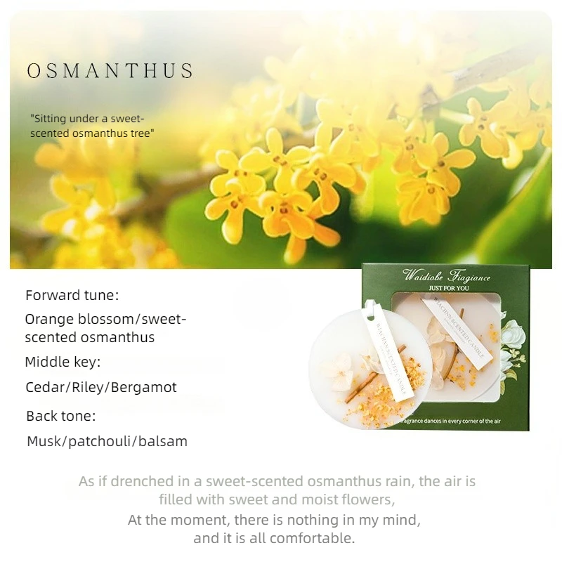 Рисунок 6 - Автомобильный ароматизатор Osmanthus