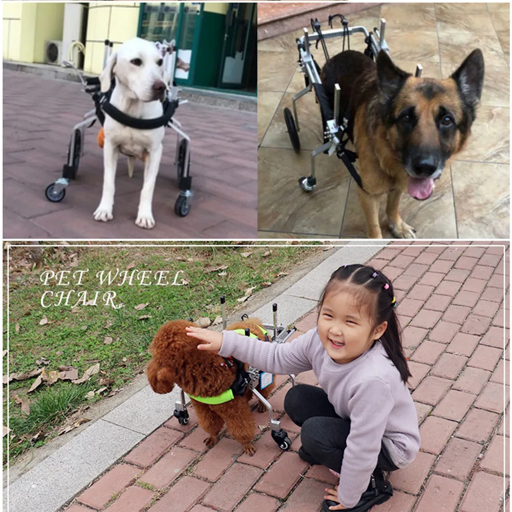 개 사륜 휠체어 스쿠터, 애완 동물 뒷다리 장애, 마비 재활 휠체어, 동물 보조 브래킷
