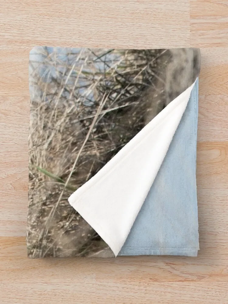 ���� �̺� �� ��� ���, �غ����� �̾����� ��, �ٴ� �ؾ� ������ ���