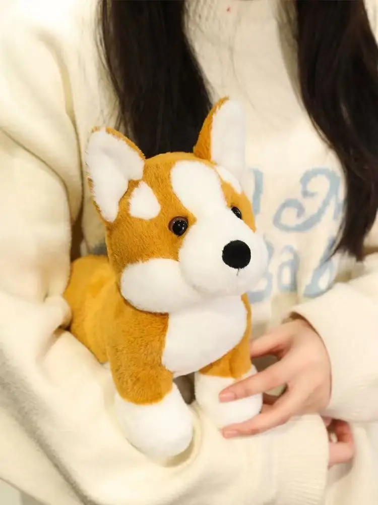 S0906f8daafa14c0fac1f89149b19429bE - Corgi Gifts