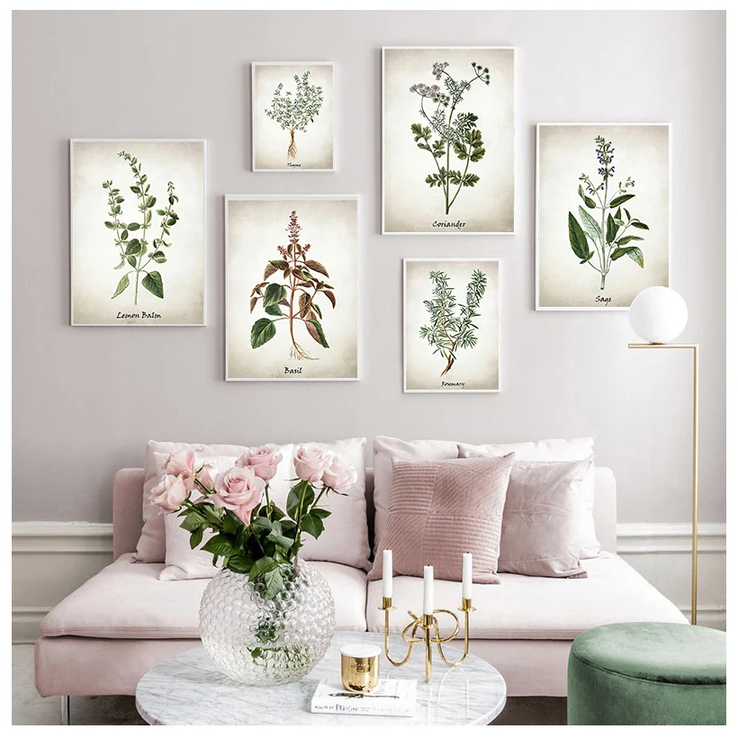 Herb Canvas Art Painting Vintage Herbal Illustrations Posters and ...