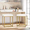 Sophia & William White & Gold Bar Stool Set of 2, Counter Height 24" Bar Stools for Kitchen Island 1