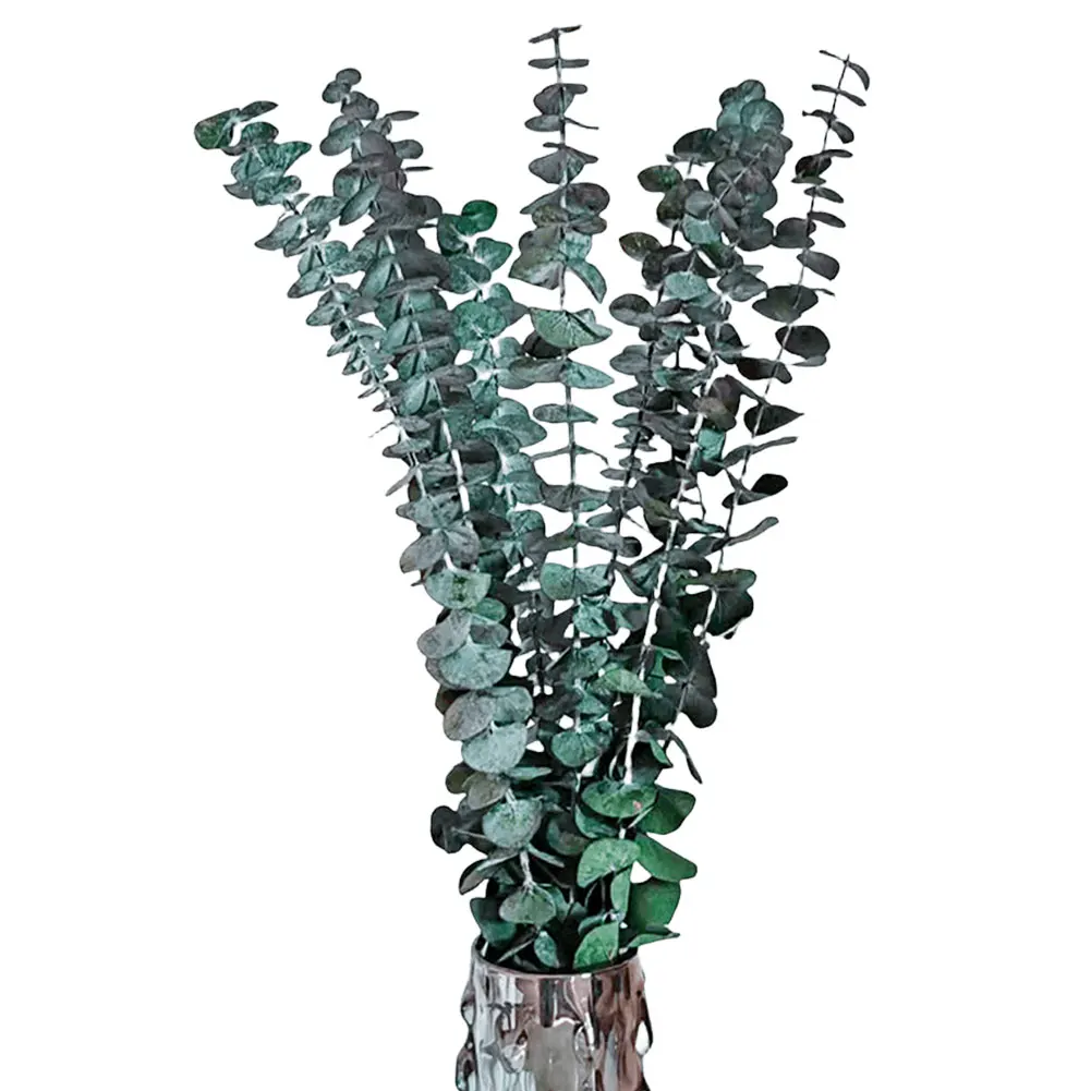Cooler Stainless Native Eucalypt main image 1