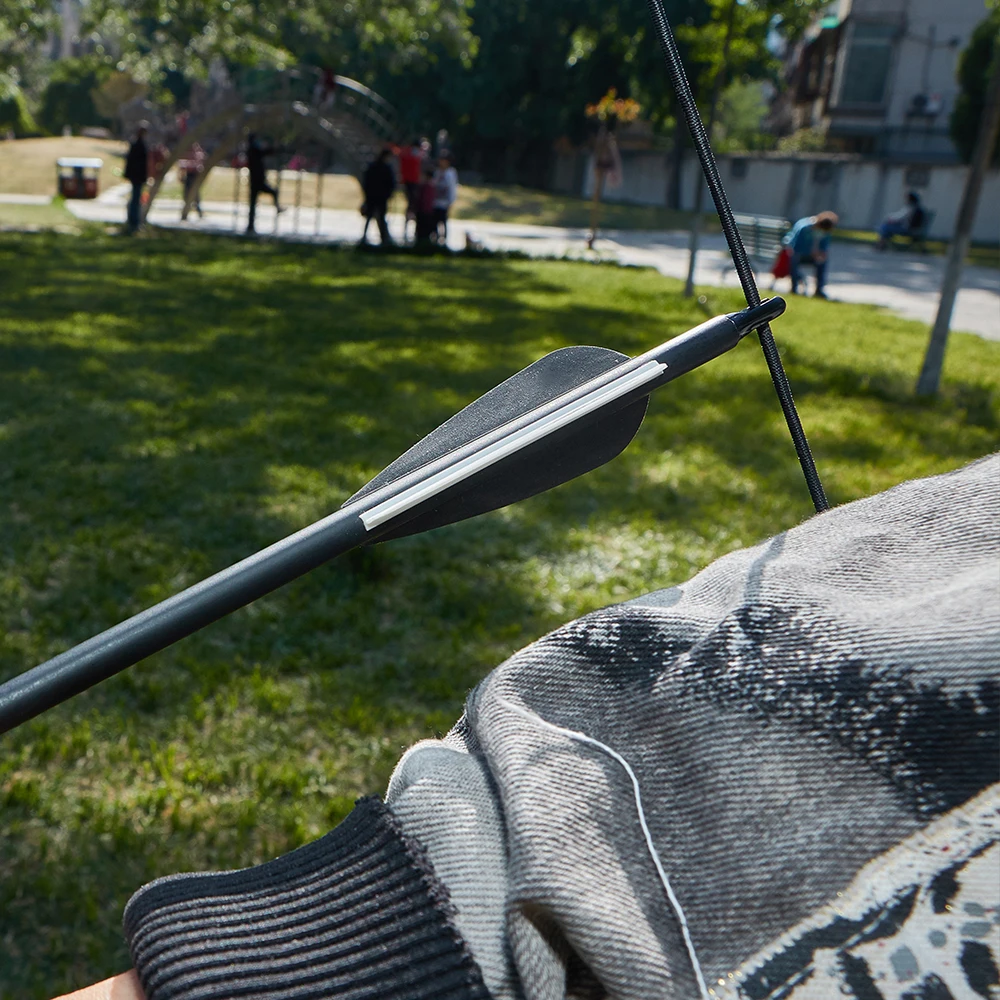 Premium 30-Inch Carbon Arrow with Replaceable Arrowhead