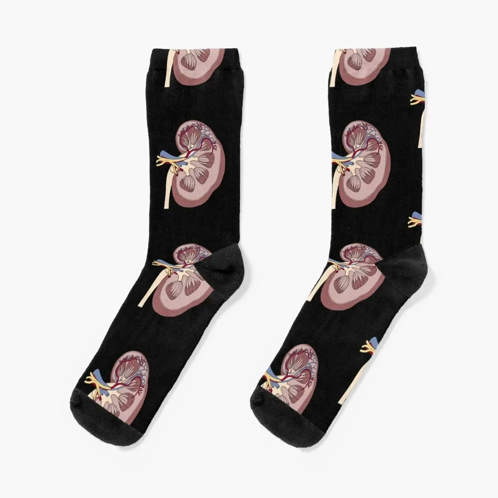 

Kidney anatomy Socks ankle moving stockings anti-slip fashionable Men's Socks Luxury Women's