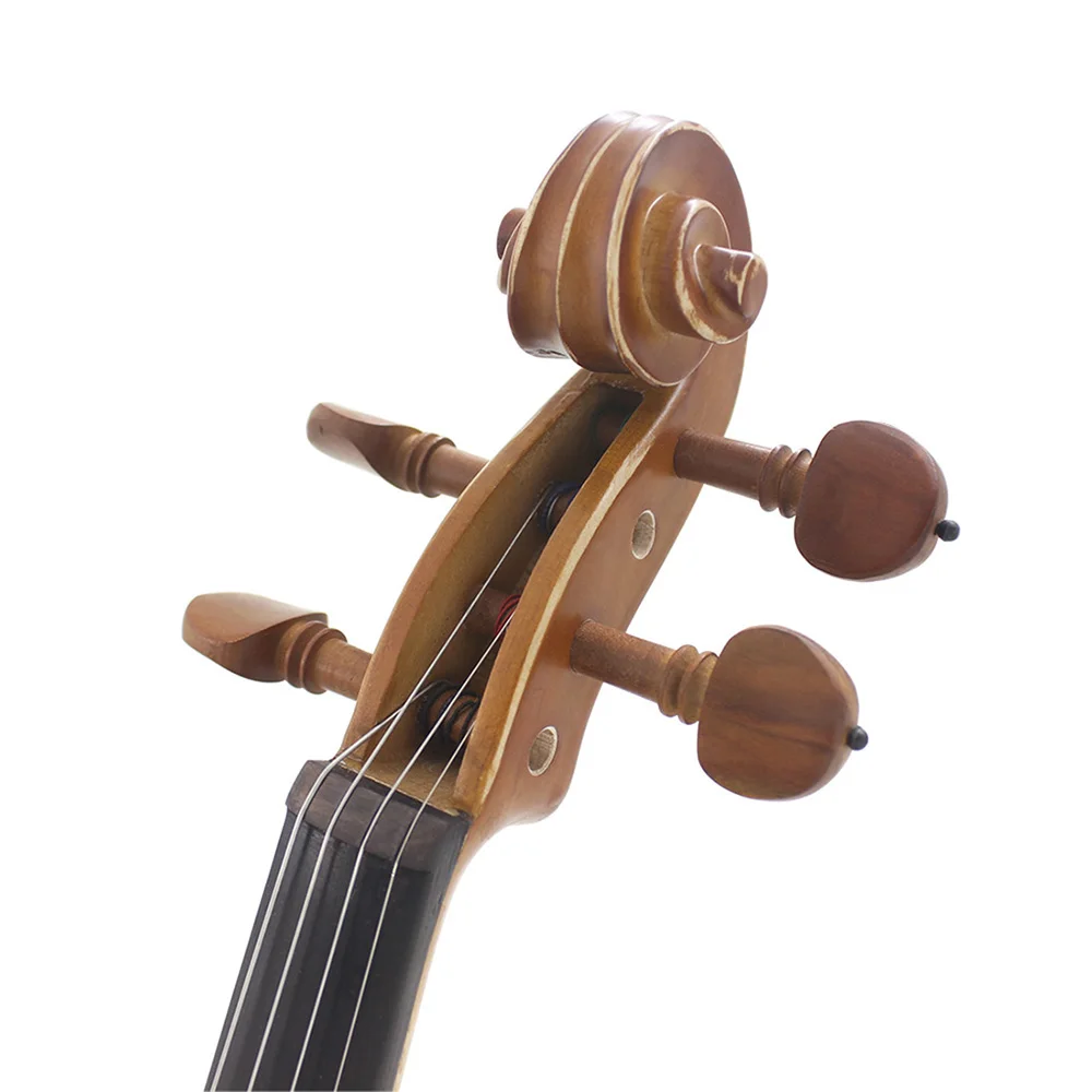 4/4 Violin Acoustic Maple Panel Carved Natural Color Violin