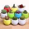 10/20pcs Mini Flower Pot Plastic Succulent Plant Potted Household Office Desk Garden Balcony Decoration Planting Supply TMZ 4