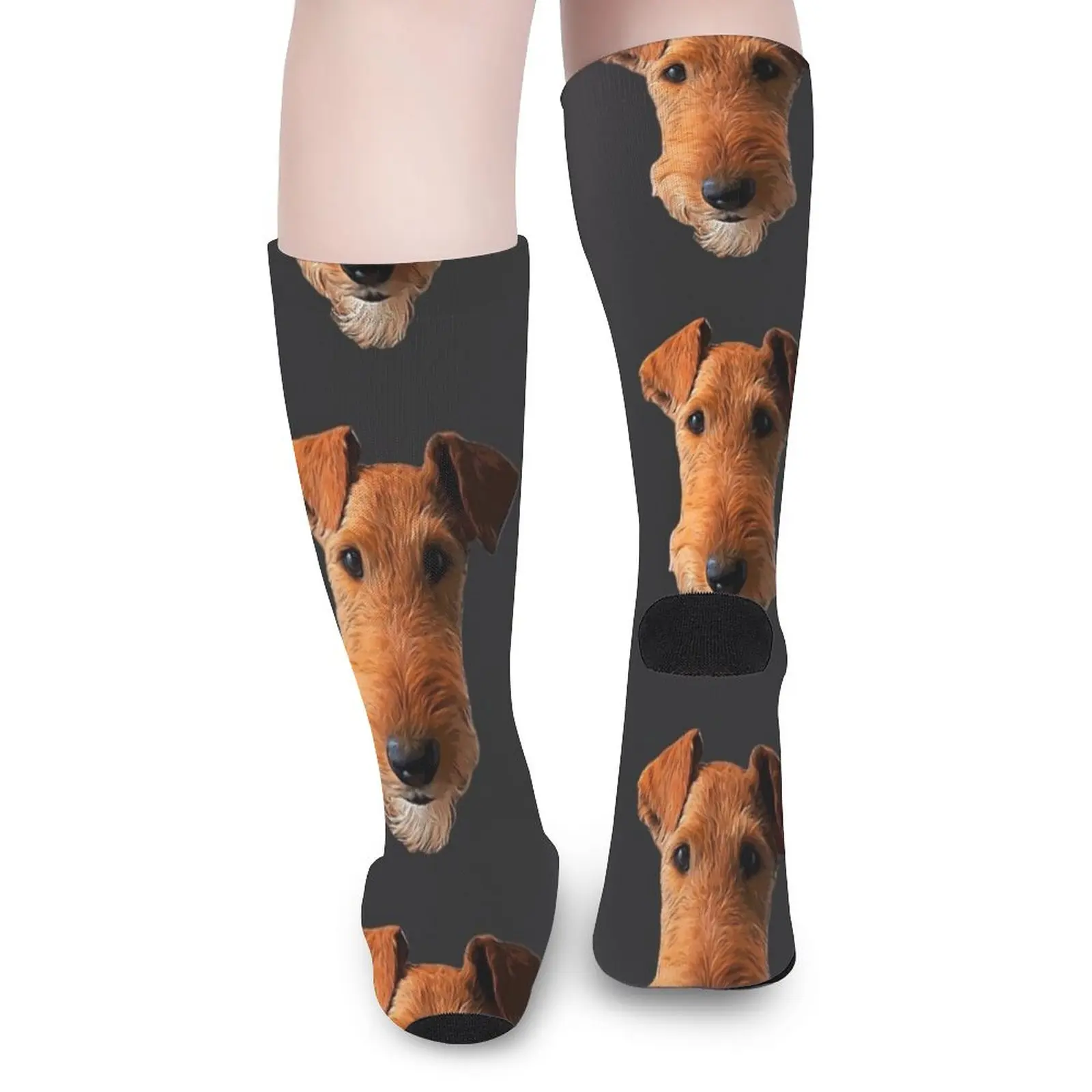 Airedale Terrier Head Art Lakeland Welsh Socks Women's socks high MEN FASHION Cartoon characters socks