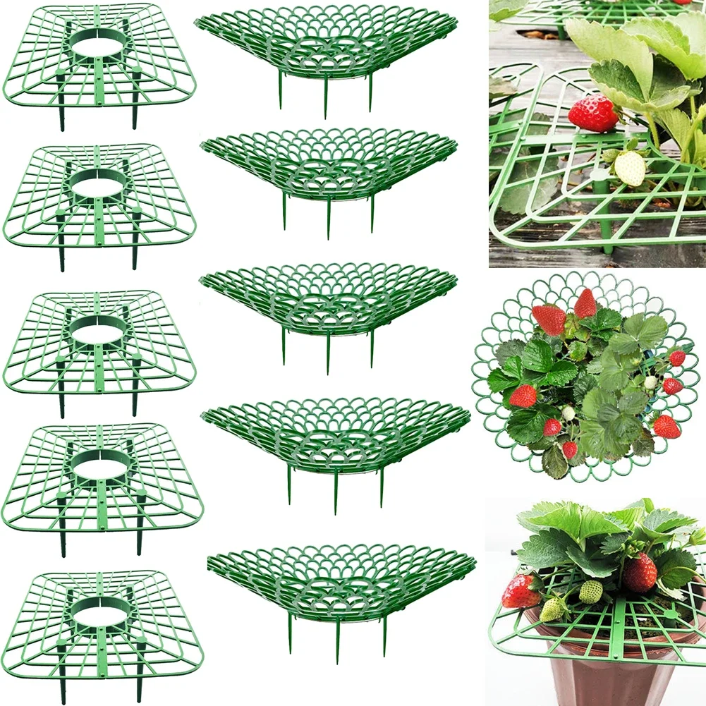 

5/10pcs Watermelon Stand /Fruit Stand Support Basket Frame Vegetables/ Plants-Tray Rack Melon Squash Pumpkin /Protective Holder
