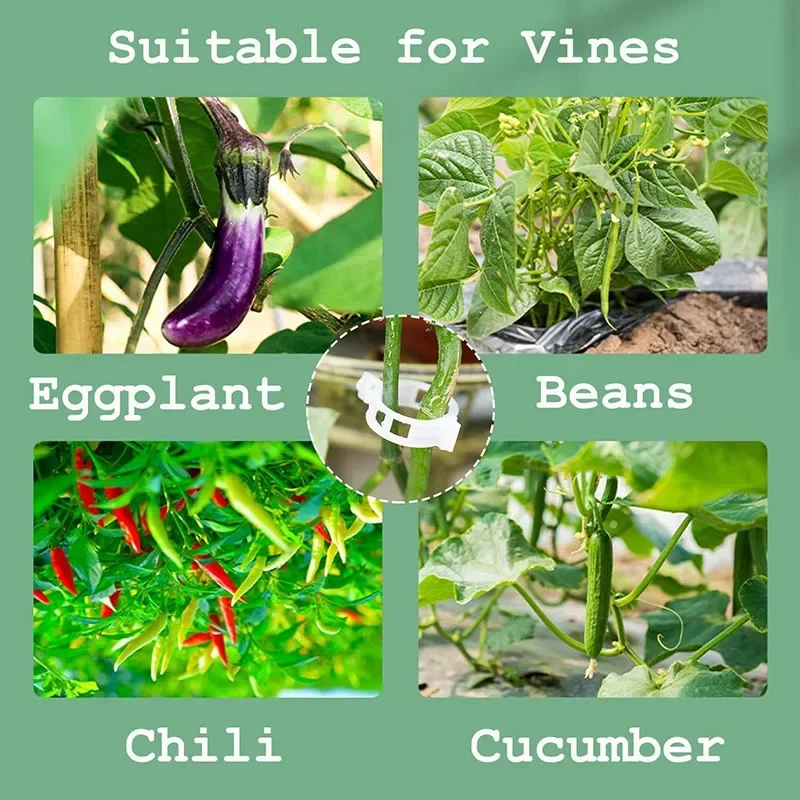 100PCS Plant Fixing Clips Reusable Plant Vegetables Vine Connects Fixing Tool Vegetable Tomato Grafting Protect Garden Supplies