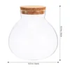 Desktop Micro-landscape Bottle Vase Empty DIY Cork Plant Terrarium Decorative Landscaping Container Glass Jar with Lid 2025 NEW 6