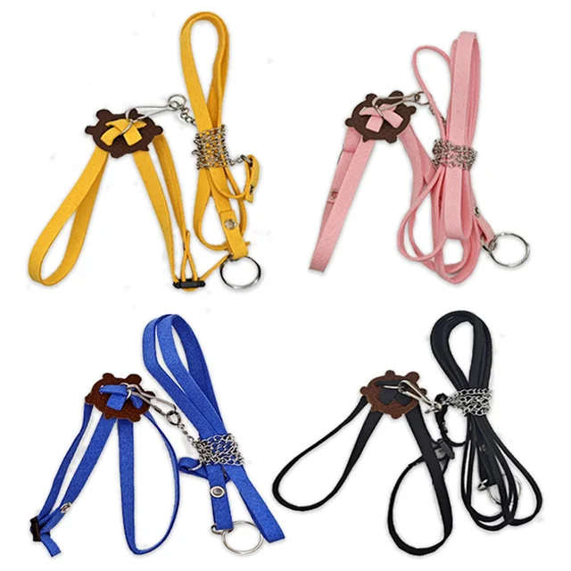 Pet Turtle Traction Rope Safety Belt Outdoor Traction Belt Multifunctional Training Rope Portable Small Pet Supplies 2