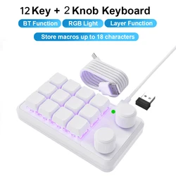 RGB Mechanical Hotswap Macro Keypad with Customizable Knob for Programmers and Gamers (White 2.4G 12Key)