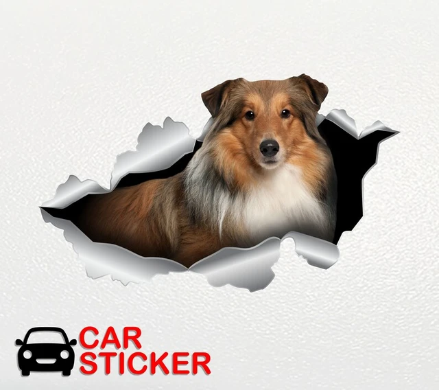 Sheltie stickers Dog sticker Car sticker Sheltie car decal Sheltie