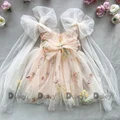 Apricot Peach