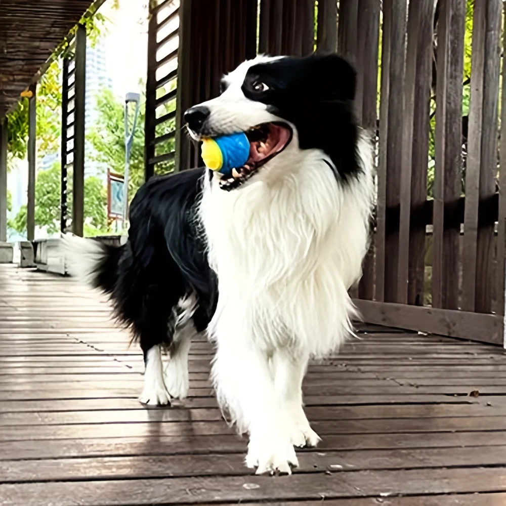 Dog Toy Durable Crew Ball For Pet