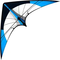 NEW Arrive 48 Inch Blue Professional Dual Line Stunt Kite With Handle And Line Good Flying Factory Outlet 1