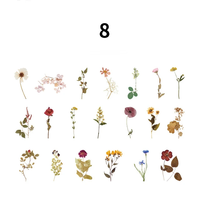 40Pcs/bag Vintage Leaves Flowers PET Sticker Package DIY Diary Decoration Sticker Album Scrapbooking Plants Deco Stickers 8