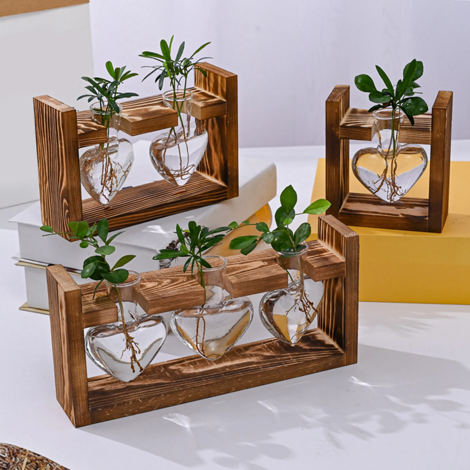 Culture Graine Avocat Vase Germoir Avocat En Verre - Culture Hydroponique Décoration Maison - 10x10 Cm Pot Germination Noyau