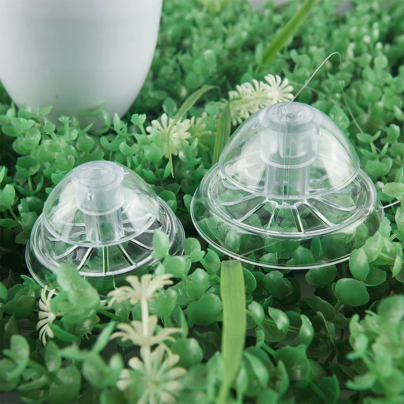 Piège nuisible,Piège à escargot en plastique, boîte de capture antiparasitaire pour Aquarium