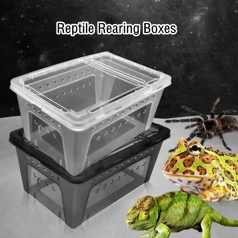 

5Pcs Reptile Feeding Box Vivarium Portable Transparent Rearing Box Snake Turtle Spider Hatching Container Reptile Breeding Tank