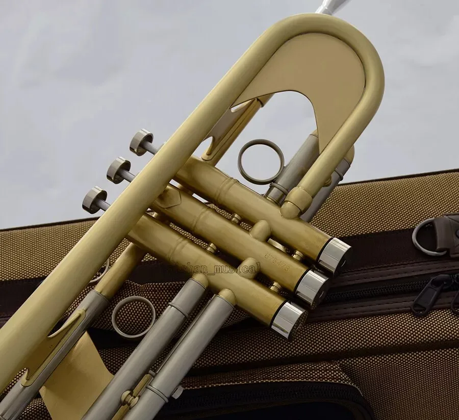 NEW Professional Matt Brushed Brass Bb Trumpet Horn Monel With Case