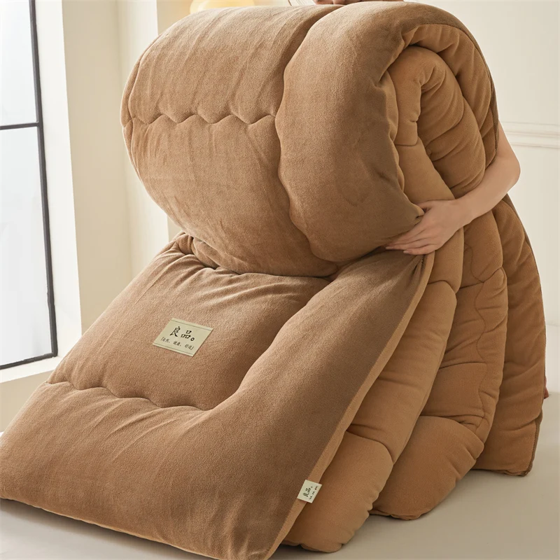 שמיכת חורף מעובה מבלוטות קטיפה למיטה בגודל מלכה, שמיכת פלנל רכה דו צדדית עם פלוש יחיד או כפול, מרגיע עבה