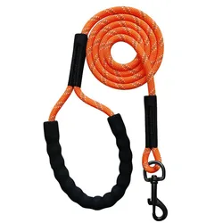 Reflective Outdoor Pet Training Leash for Dogs and Cats - Various Lengths (Orange)