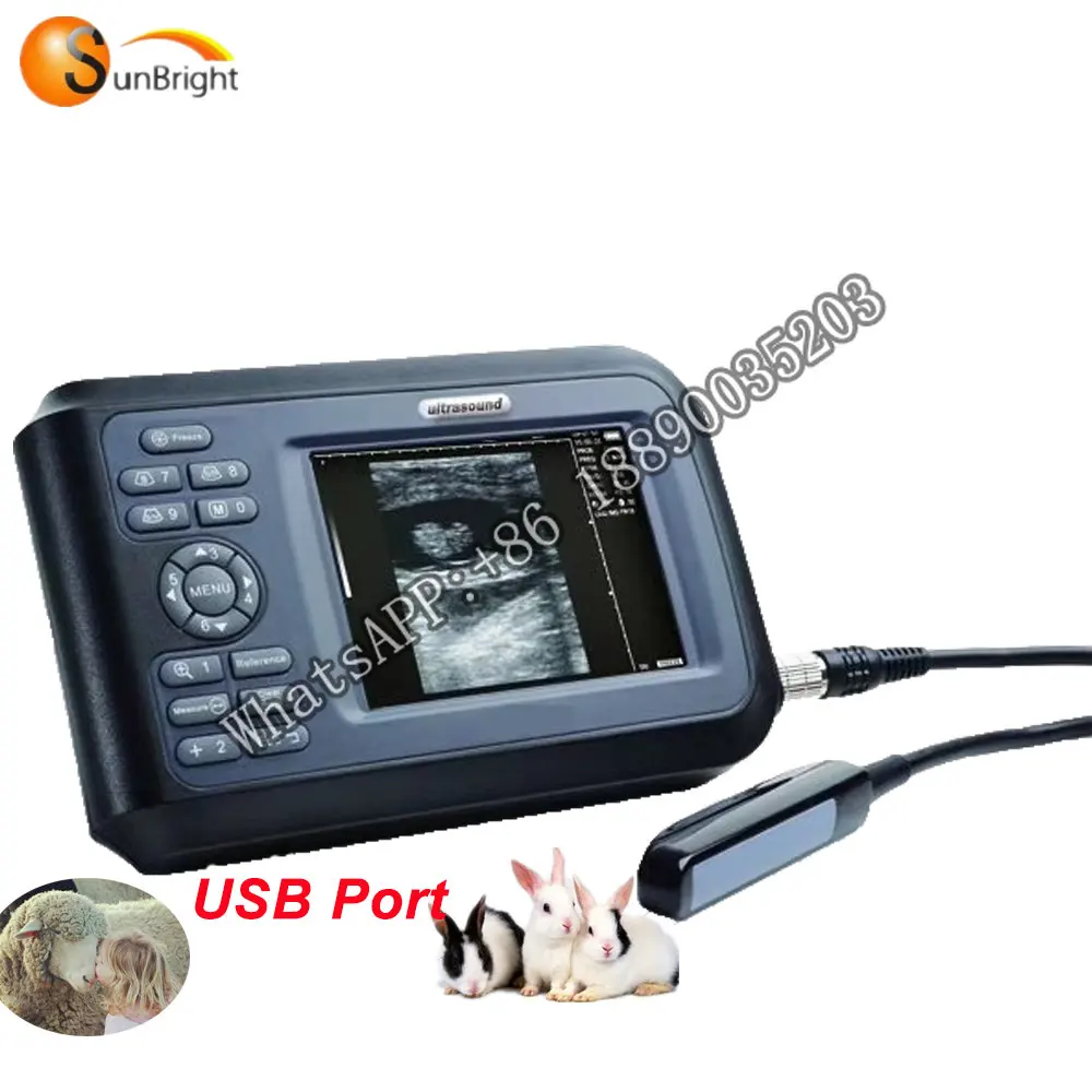 

Sunbright SUN-808F Portable Handheld Size Ultrasound China Vet Veterinary Scanner Ce Li-ion Electricity 2 Years 1024