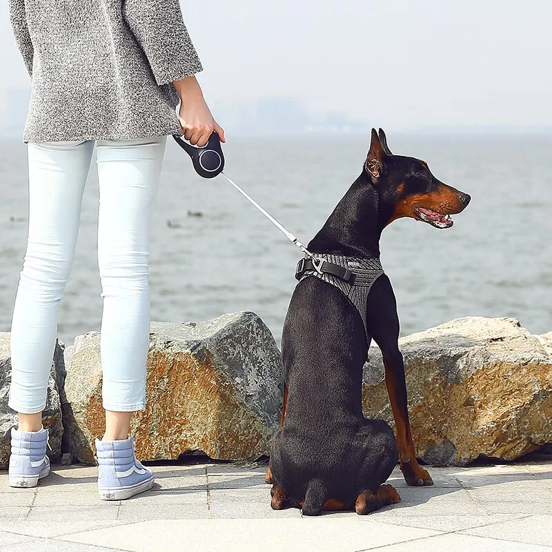 Streng Beroemdheid Motiveren Petkit Hond Harnas Lichtgewicht Ademend Kleine-Grote Hond Vest-Stijl Hond  Harnas Vliegende Weven Proces Hond Accessoires - AliExpress