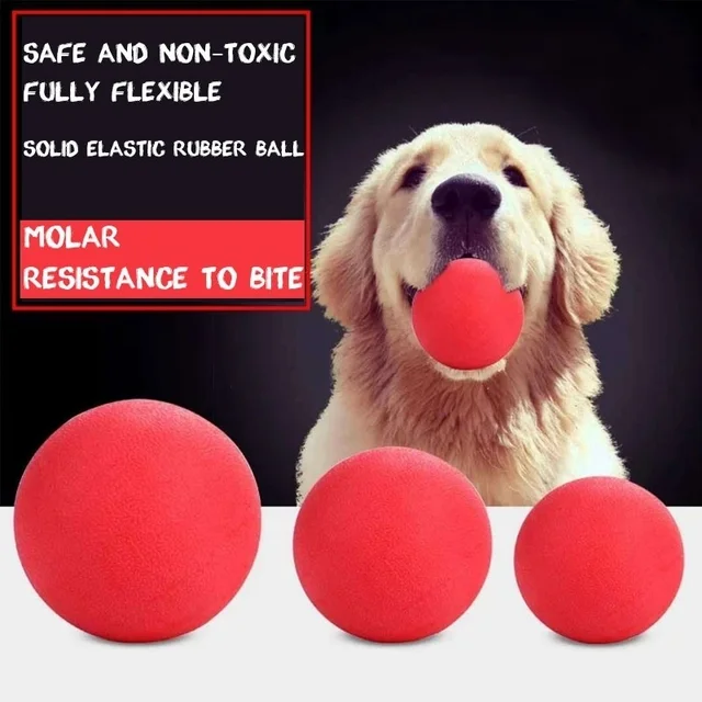 Indestructible Solid Rubber Ball Pet Dog Toy: Training Chew Play Fetch Bite Toys