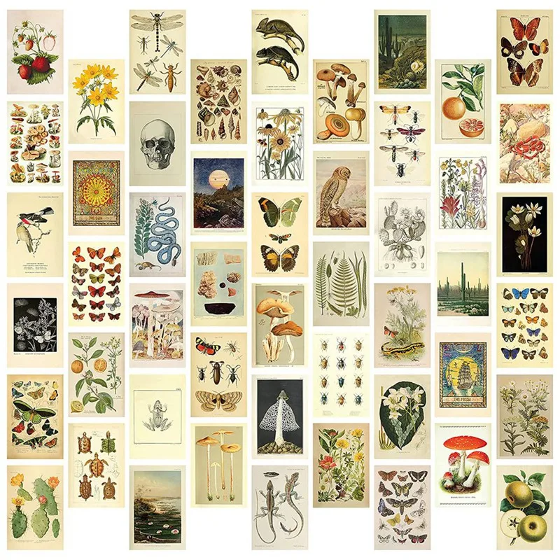 

Vintage Aesthetic Wall Collage Kit - 50 Mini Botanical Cottagecore Collage Art Posters (4X6Inch), for Trendy Photo Wall