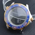 62 Silver rose