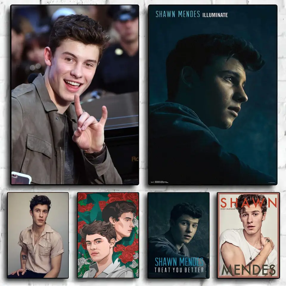 Shawn Mendes Rapper Music Male Pop Decoration Art Poster Wall Art