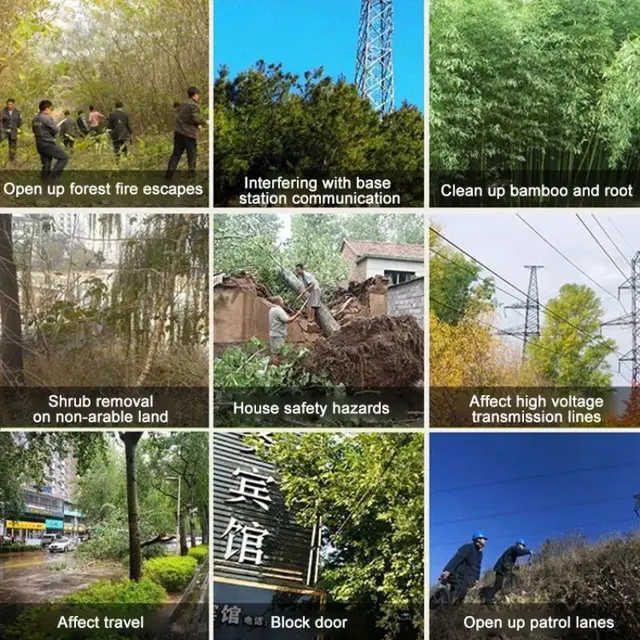 5% Ciklohexanon Granulátum, Mint Gyökér Rothadó -Szer A Nagy Fák És Bambusz Jujube Cserje Gyomnövényes Gyomnövények Fa Eltávolító Szerek - Image 2