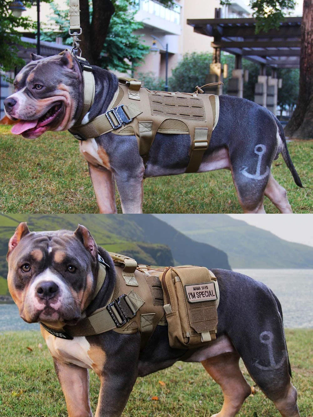 Tactical Dog Harness Pet Training Vest With Bags Military Dog Harness Leash Set Service Dog Vest Safety Lead Walking