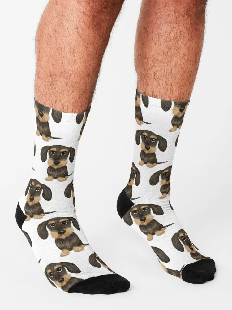 Wirehaired Dachshund | Cute Wire Haired Wiener Dog | Wild Boar and Tan Teckel Socks Female Cycling Socks Sports Socks Woman