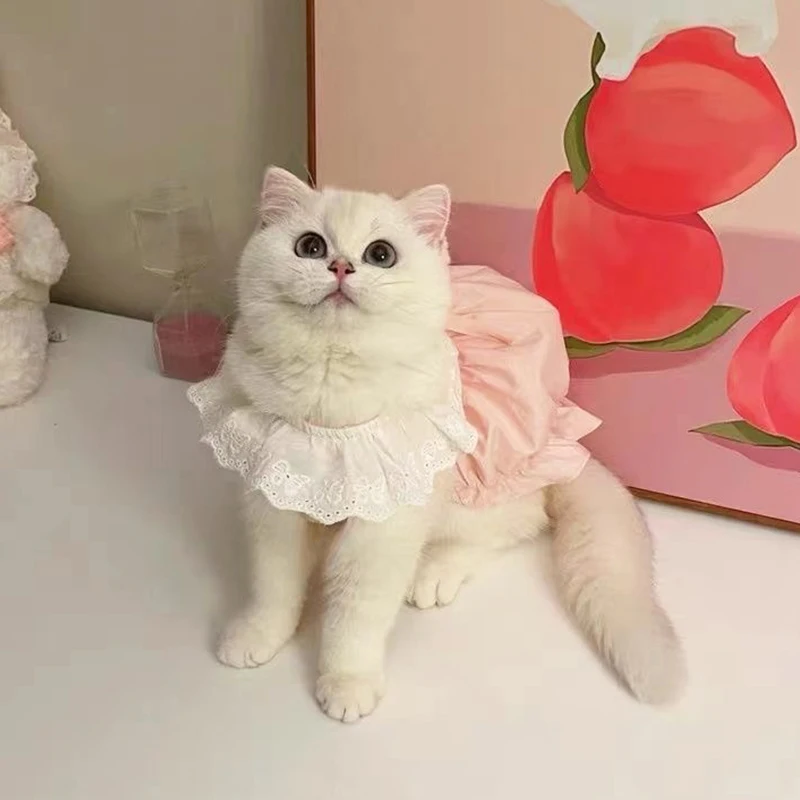 Cat Clothes Cute Princess Summer New 2023 Thin Hair Prevention