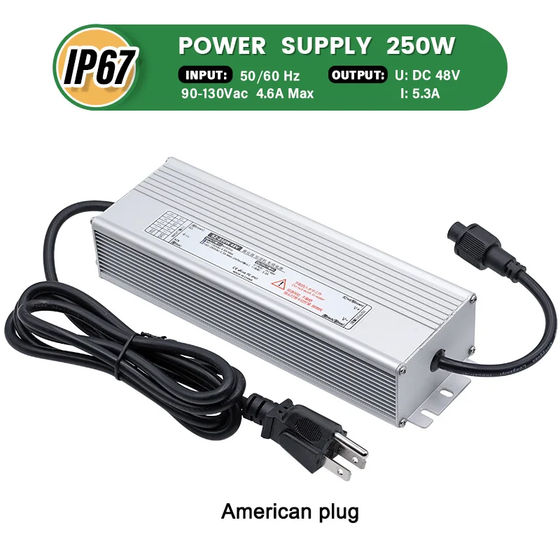 110V 250W US Plug
