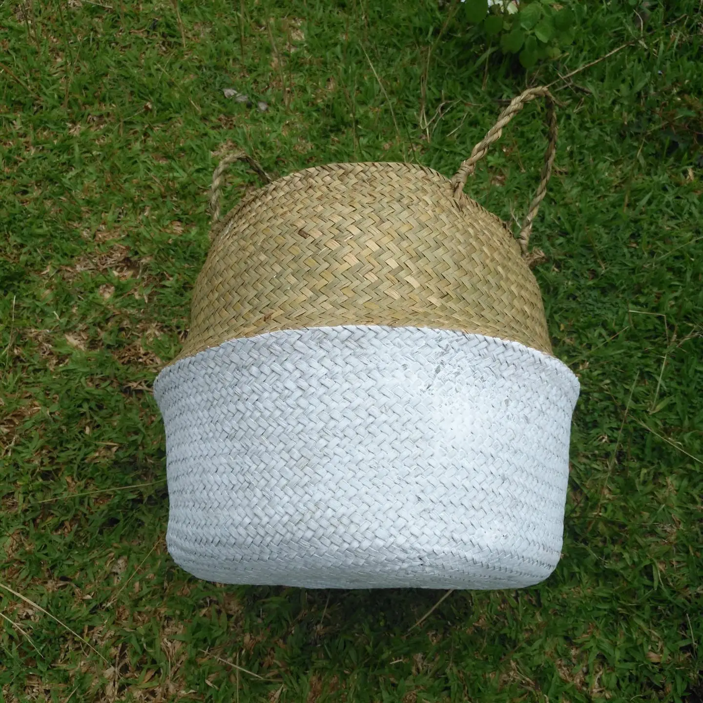 Natural White